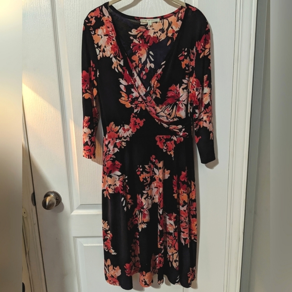 ✨2/$35 Cleo V-neck, 3/4 Sleeved Black and Pink/Red Floral Dress, petite 10